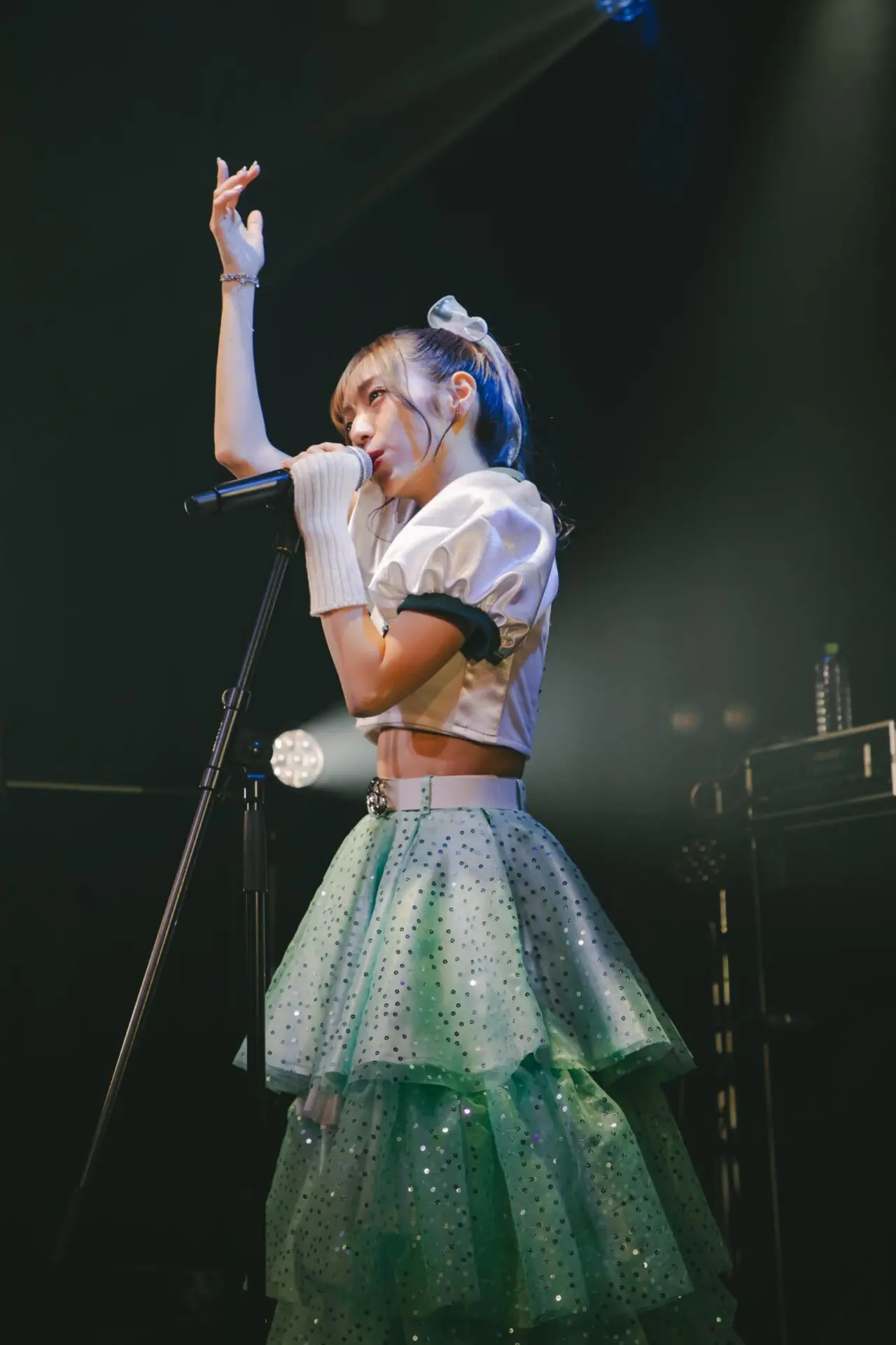 モダンペッツ パンダ　モダンペッツフレンド　内藤ルナ 新品 DSC04853.jpg.webp